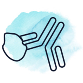 ReadyTag Antibodies ReadyTag Antibodies